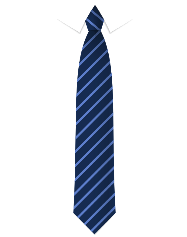 Carleton Park Junior and Infants School Tie