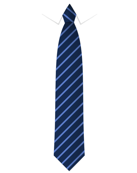 Carleton Park Junior and Infants School Tie
