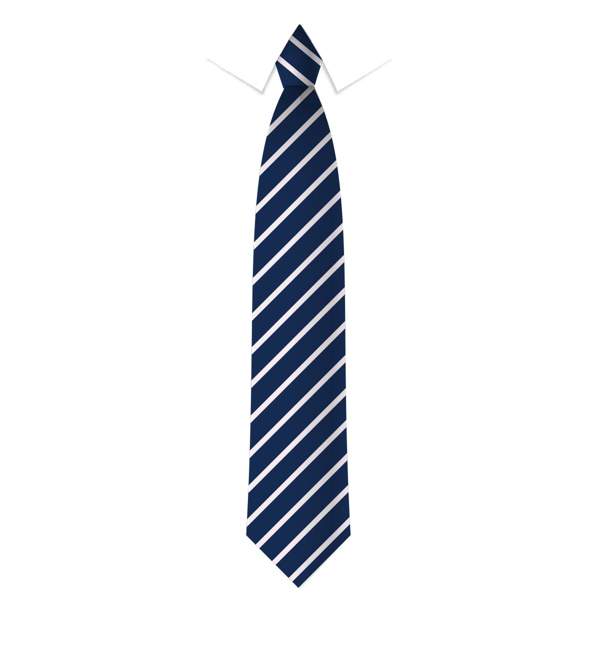 The Rookeries Carleton School Tie