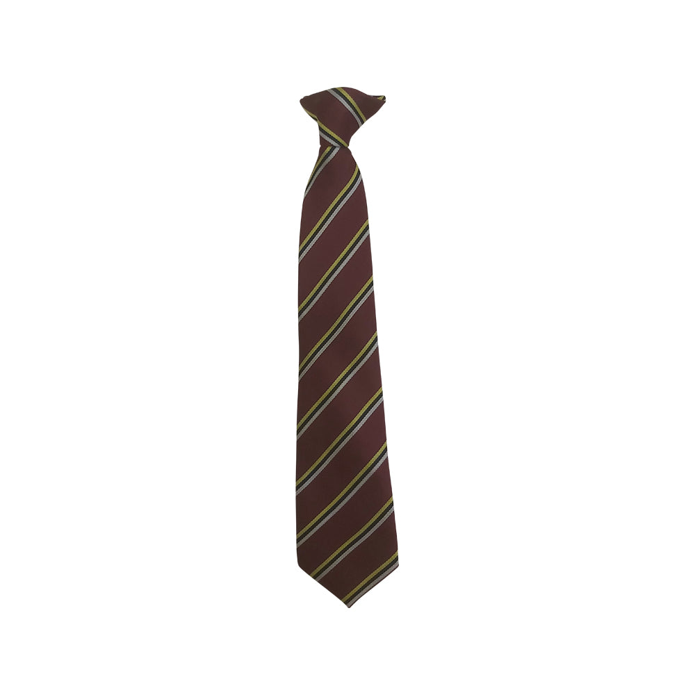 The Kings School Tie